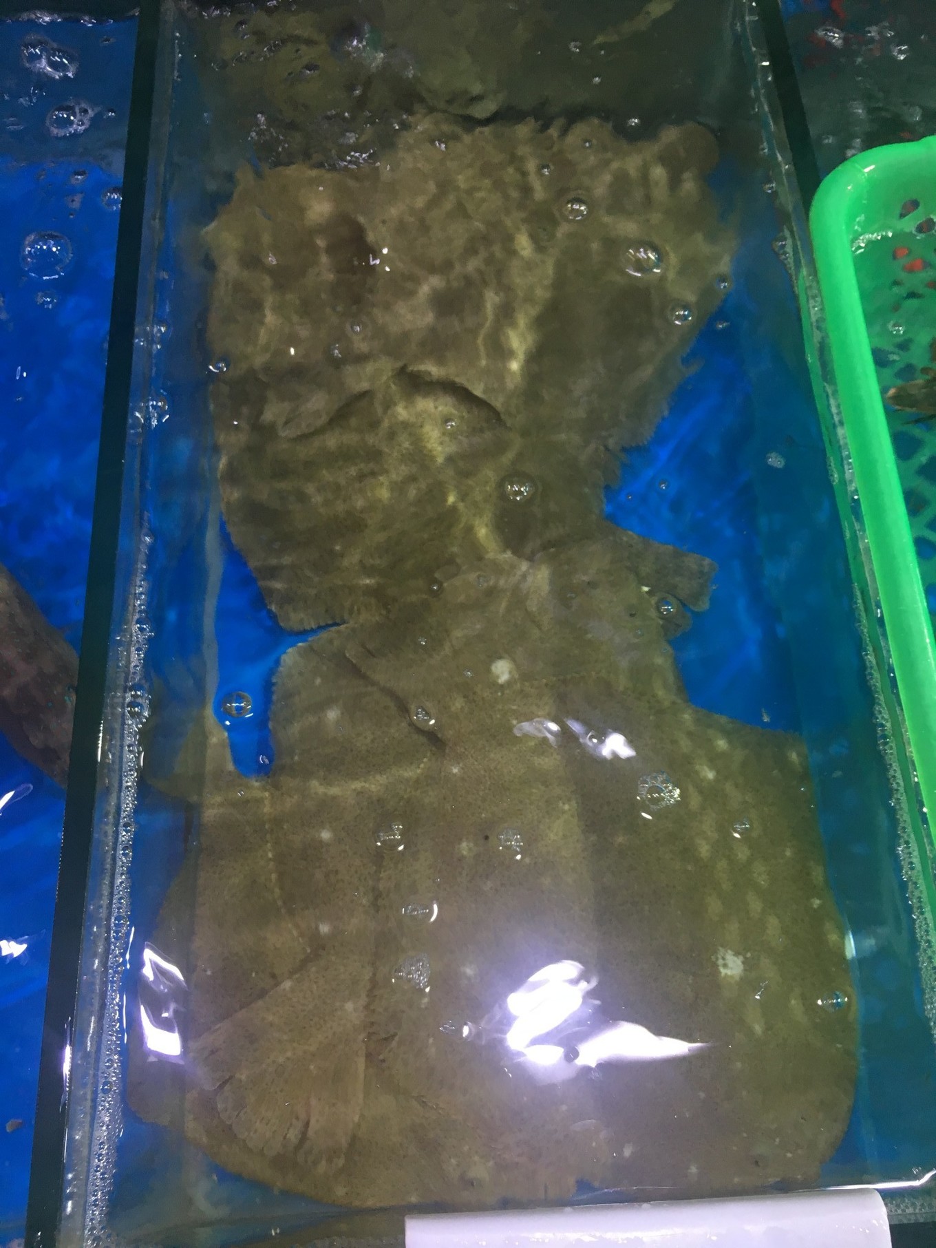 三亚旅游吃海鲜防宰攻略,三亚蜈支洲岛吃海鲜攻略