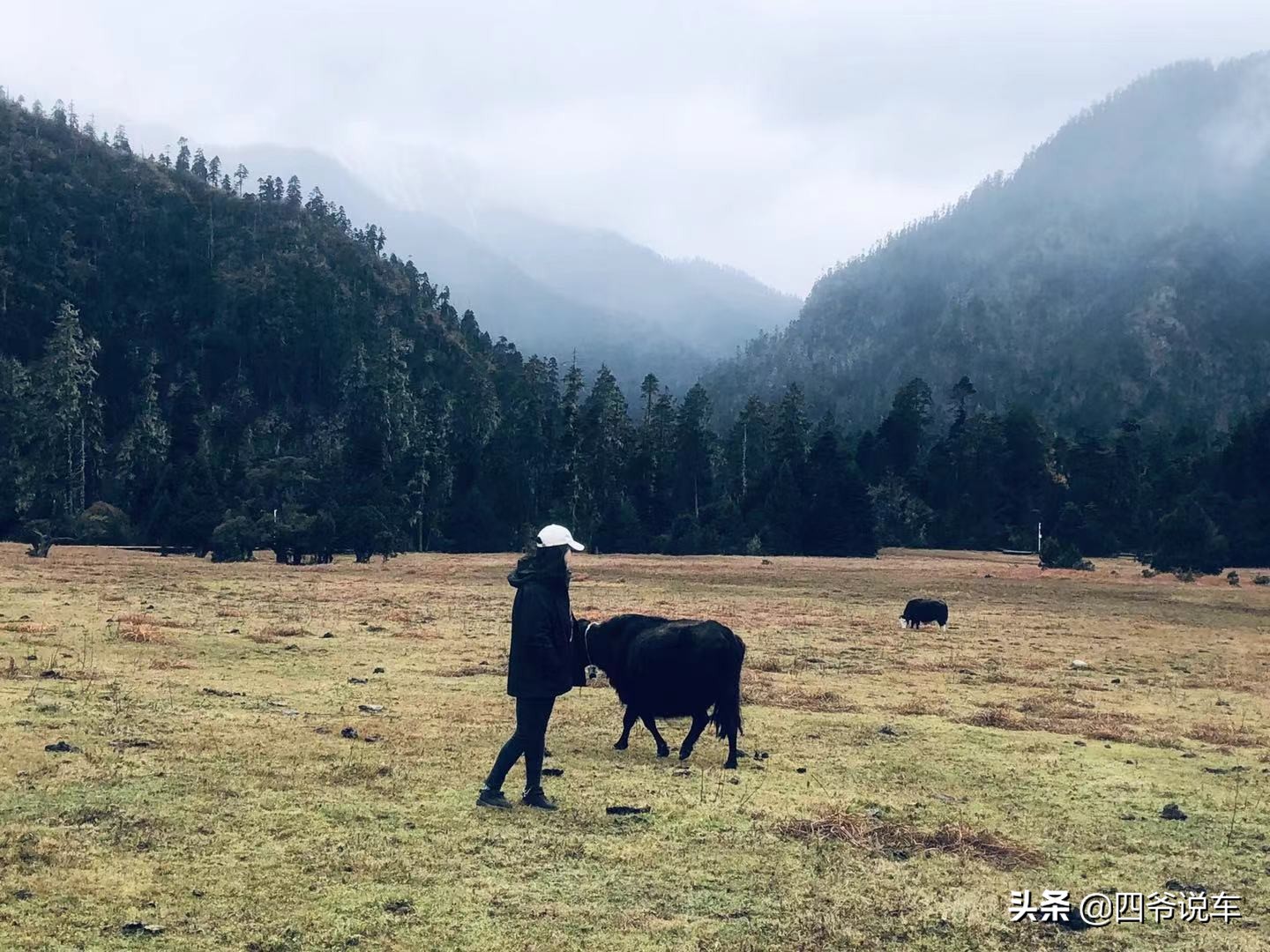林芝看南迦巴瓦峰的观景台,西藏自驾游南迦巴瓦峰