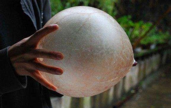 442菱形双后腰阵型解析,五四一阵型怎么打