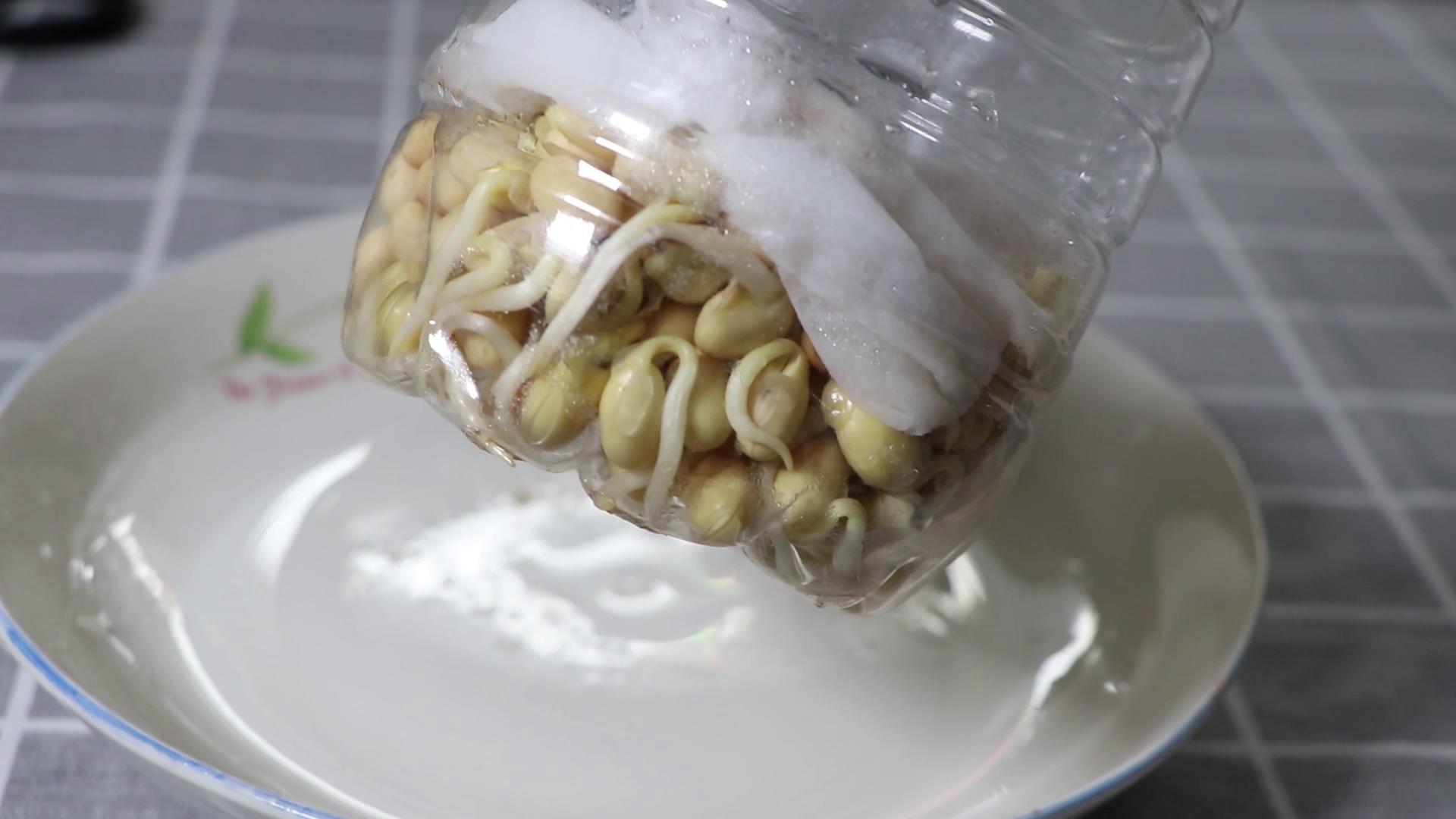 泡发豆芽的主要步骤和注意事项,发豆芽可以用保鲜膜代替纱布吗