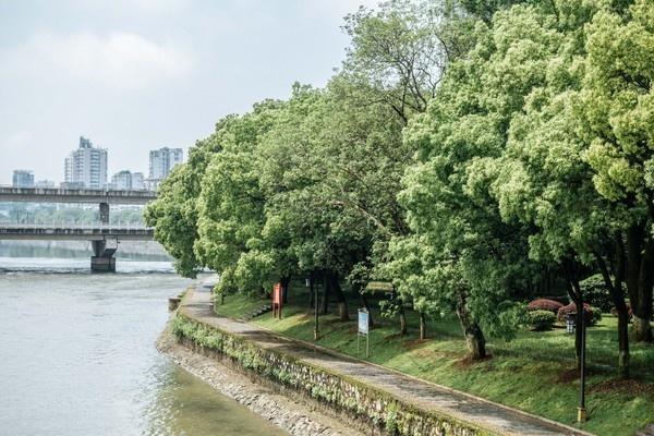 宜春一日游适合带孩子玩的景点,宜春袁州区周边游玩景点推荐