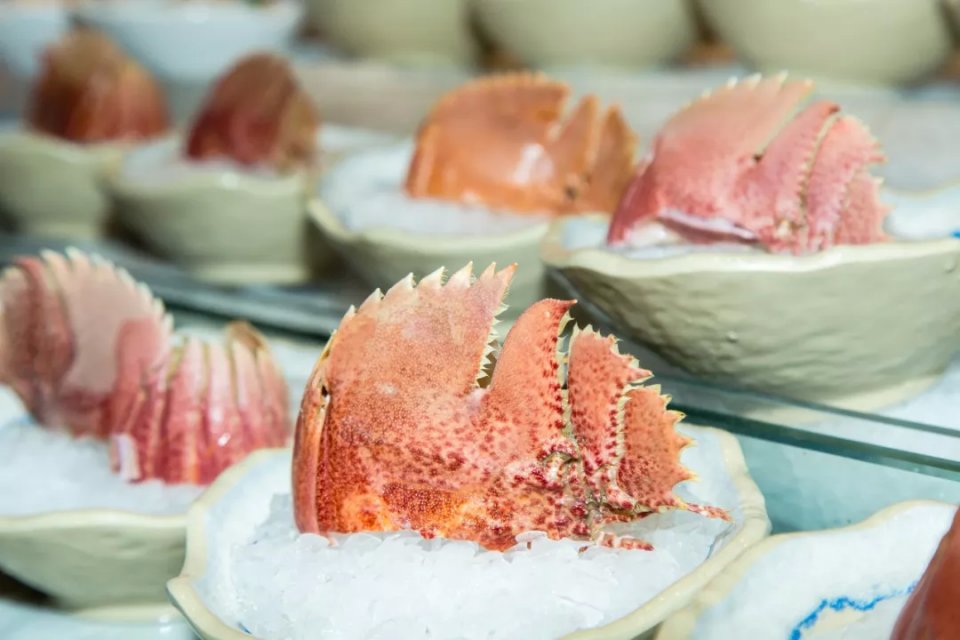 帝王蟹波龙象拔蚌,陆家嘴帝王蟹