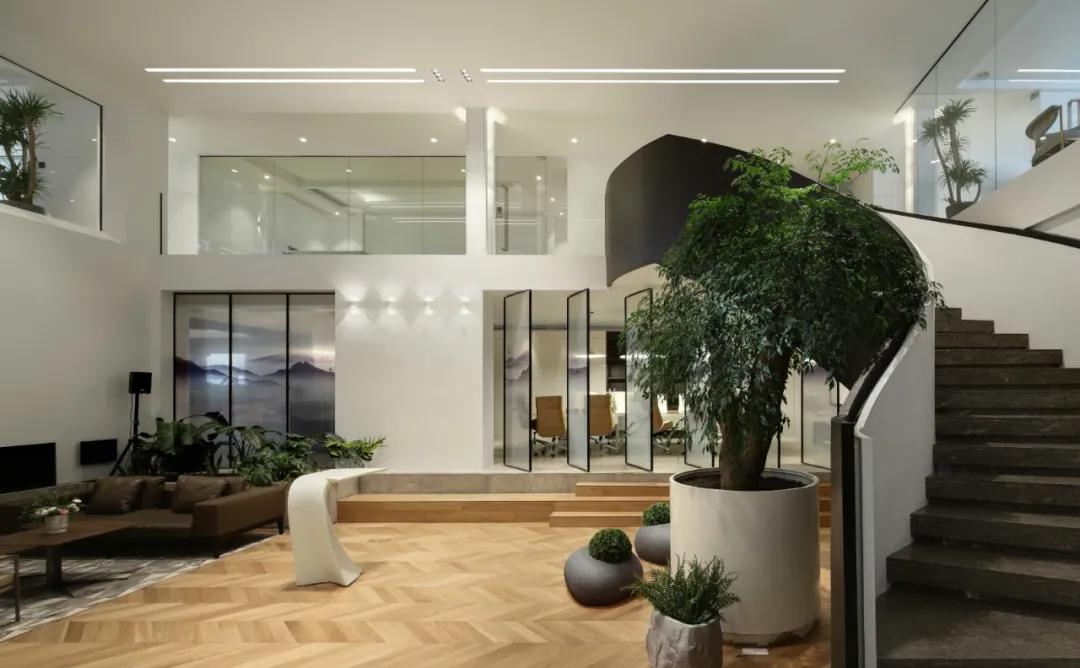 马蹄莲全案设计,马蹄莲空间设计全案思路