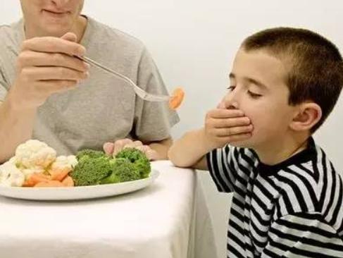如果孩子只吃肉不吃蔬菜会怎样,孩子不爱吃肉也不吃蔬菜怎么办