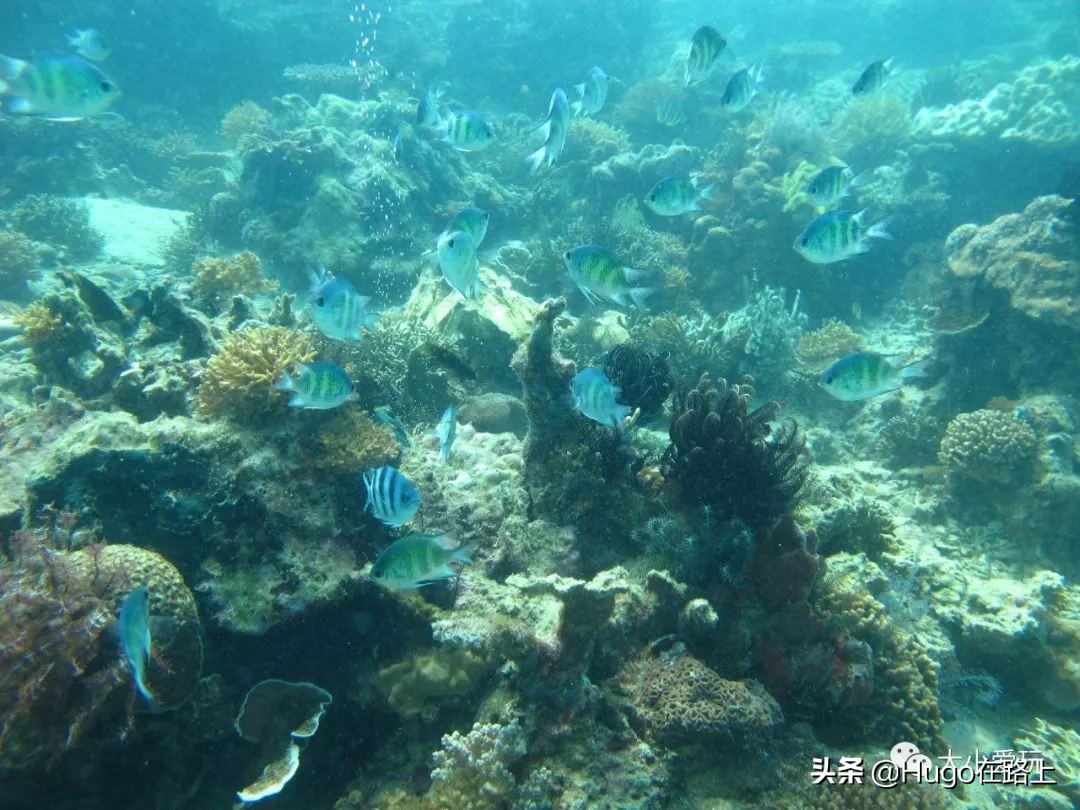 亲子海岛旅行攻略,7月最适合亲子游的海岛