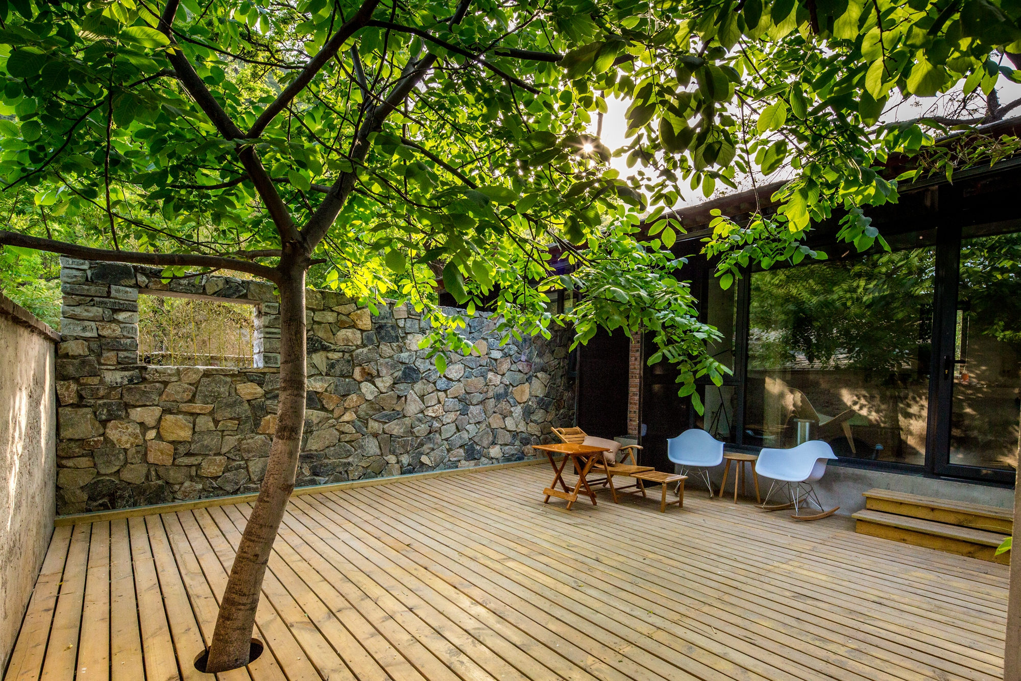 家门口种什么果树最好最旺财,客厅种什么果树旺宅还好养