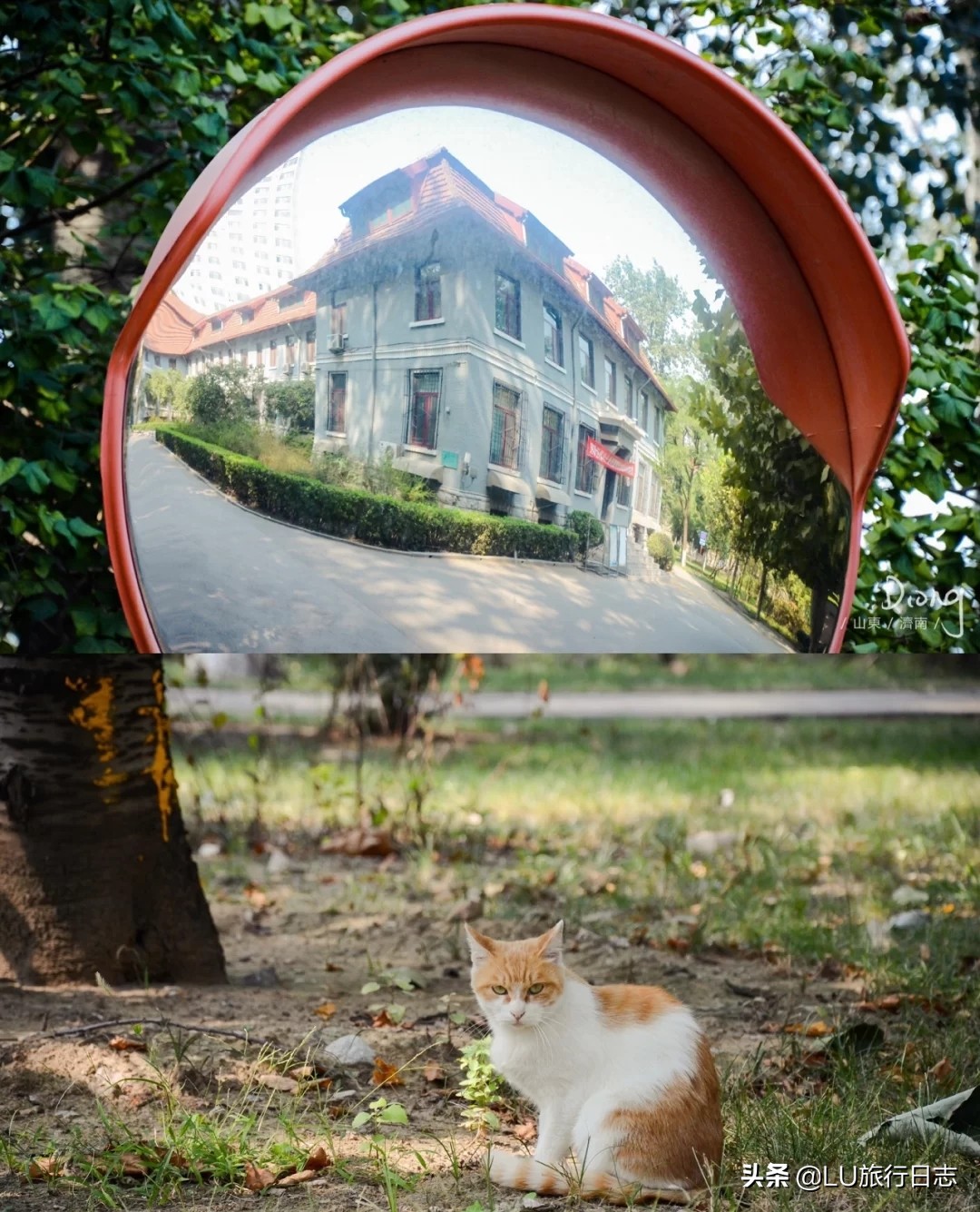 2023山东高考大学推荐,高考学子看过来