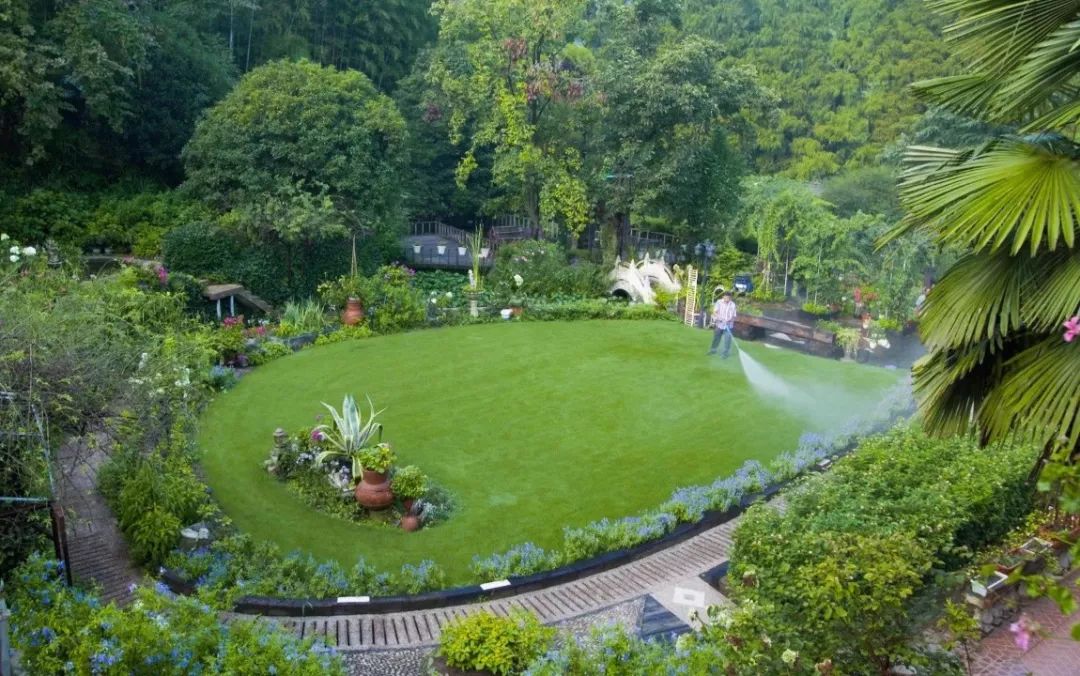 一个安徽爷爷，花1万块种出5000㎡私家花园，被评为中国最美