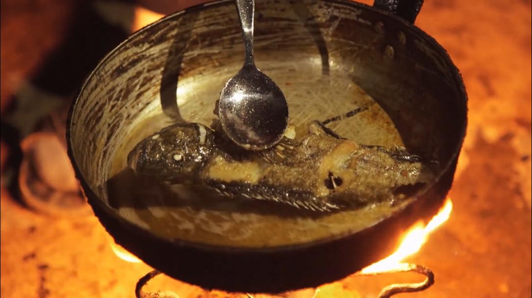 66岁渔民打鱼,60岁渔民捕鱼