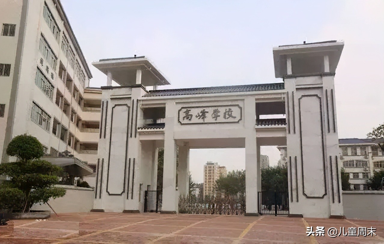 深圳龙华私立小学排名一览表,深圳龙华私立小学排名和学费