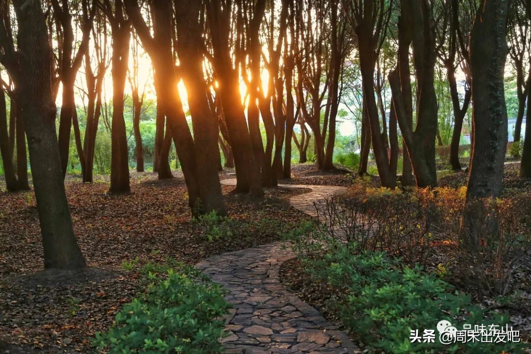 后备箱集市招募宁波,后备箱集市招募溧阳