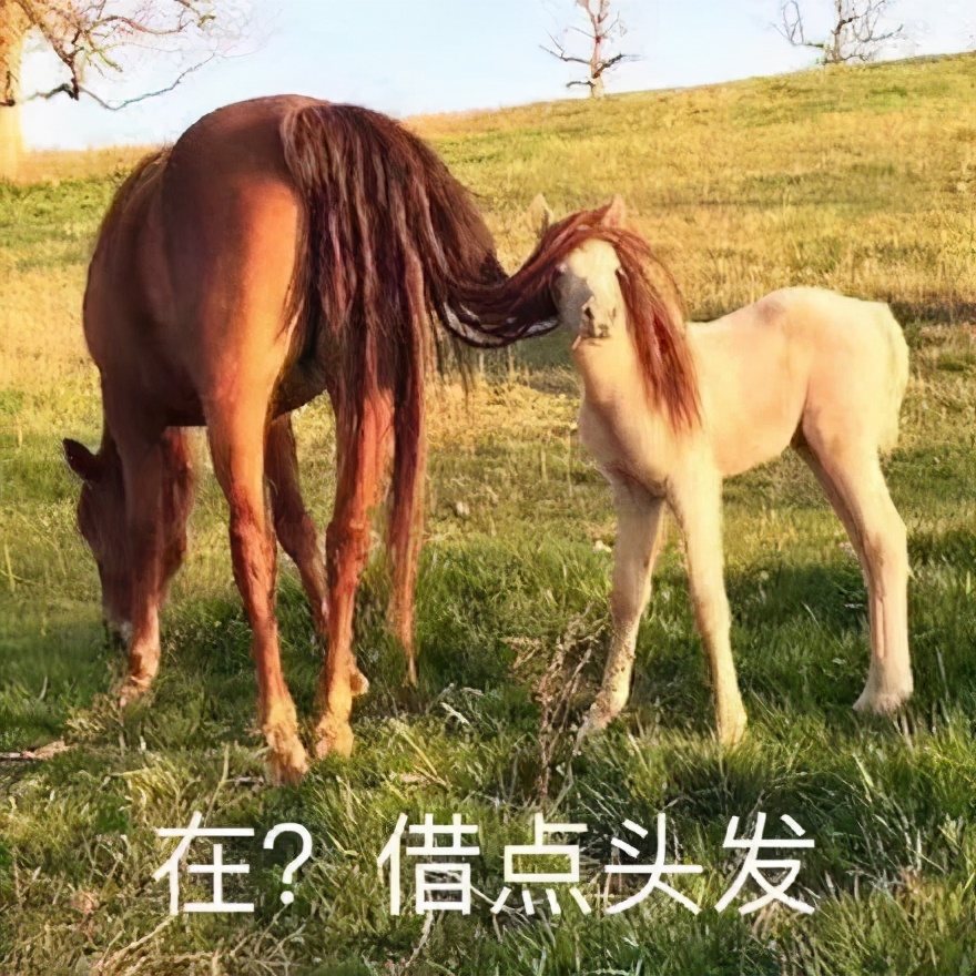 粤b指标更新最新政策,深圳人速看你关心的粤b指标问题