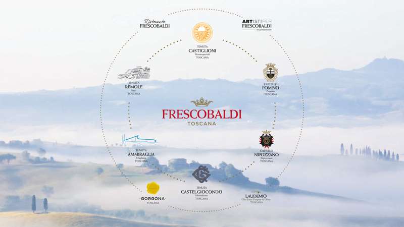 世界几大葡萄酒集团,世界八大风味葡萄酒排名