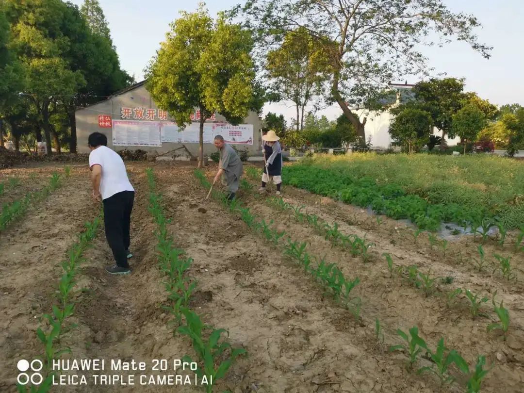 抢抓农时开展农业生产,农民纷纷抢抓春耕生产有利时机
