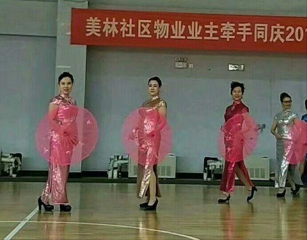 百合艺术团舞蹈视频,百合镇舞蹈队表演视频