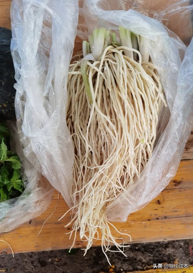 瓜瓜豆豆的视频,瓜瓜豆豆视频