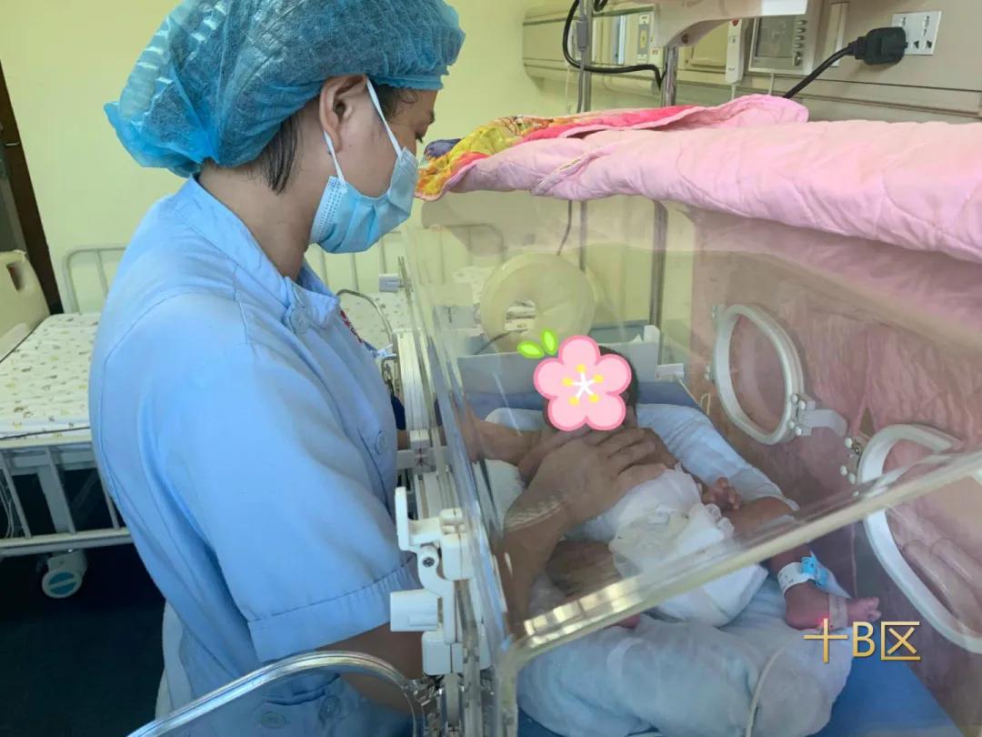 生命的坚守视频,生命的坚守