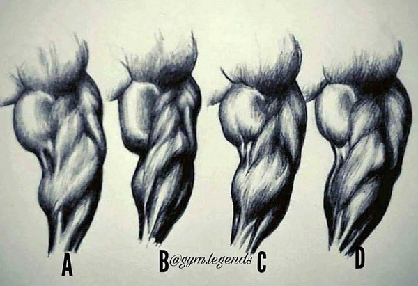 训练很刻苦了为什么不瘦,训练很刻苦肌肉就是不长