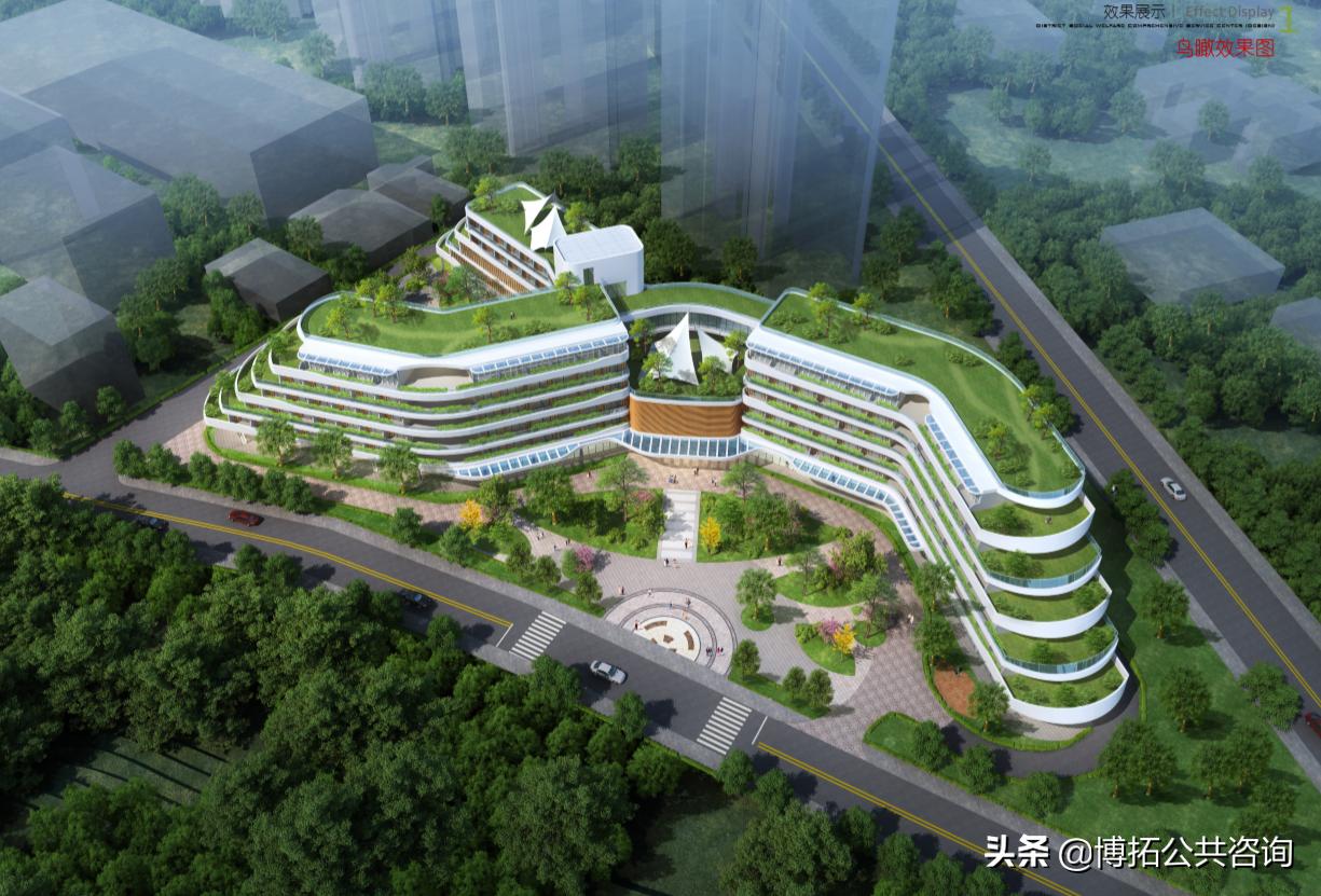 博拓咨询年终盘点｜感恩不落幕，迎势再起航