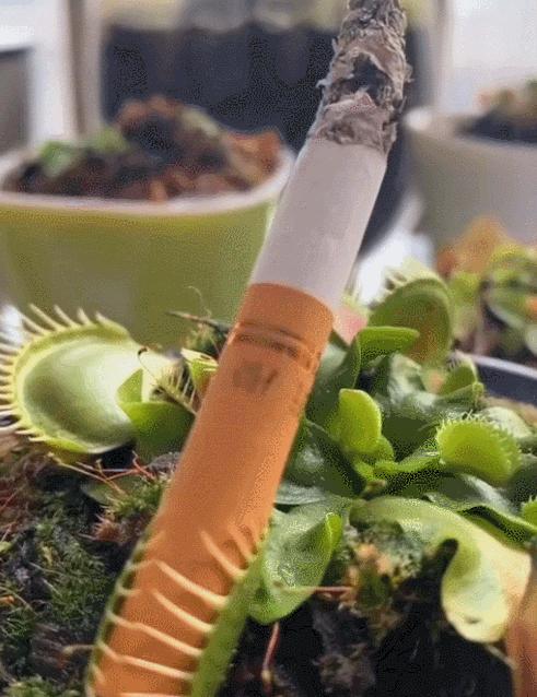 吃鸡关键时刻断触,吃鸡遇到困难时队友比上帝更管用