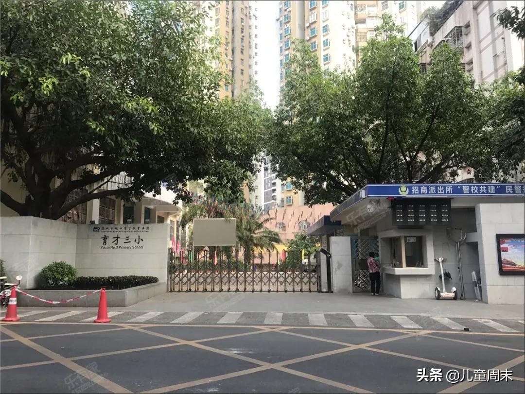 南山蛇口育才一小/二小/三小/四小,哪所更合适你家孩子?