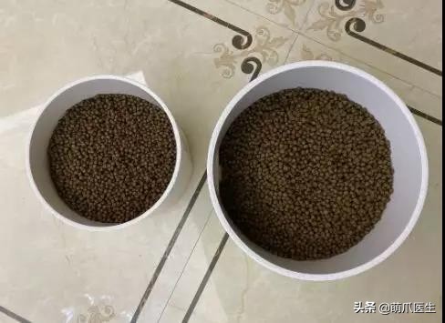 哪个品牌的猫粮把猫吃死了,go猫粮出事后怎么办