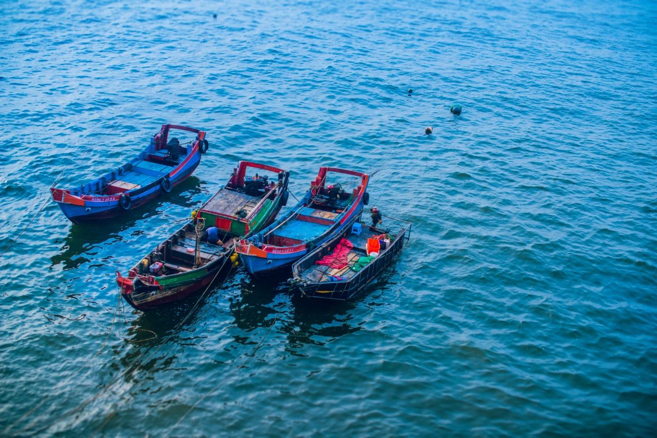 徐记海鲜460能吃到什么,徐记海鲜378