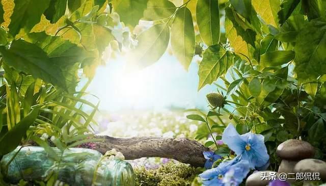 辟谷的奇效治疗97种疾病,辟谷治愈癌症真实案例