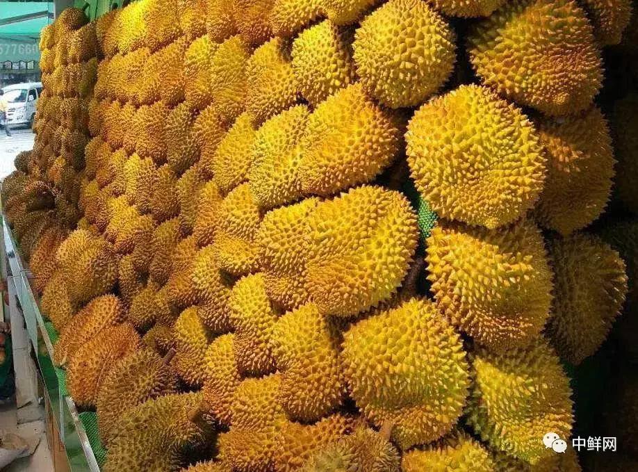 水果单品营销商业模式,代理水果的商业模式