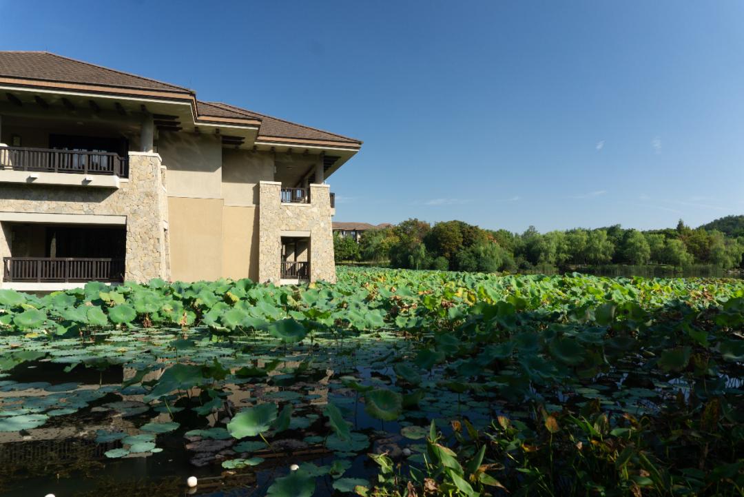 良渚君澜度假酒店攻略,良渚君澜度假酒店预订