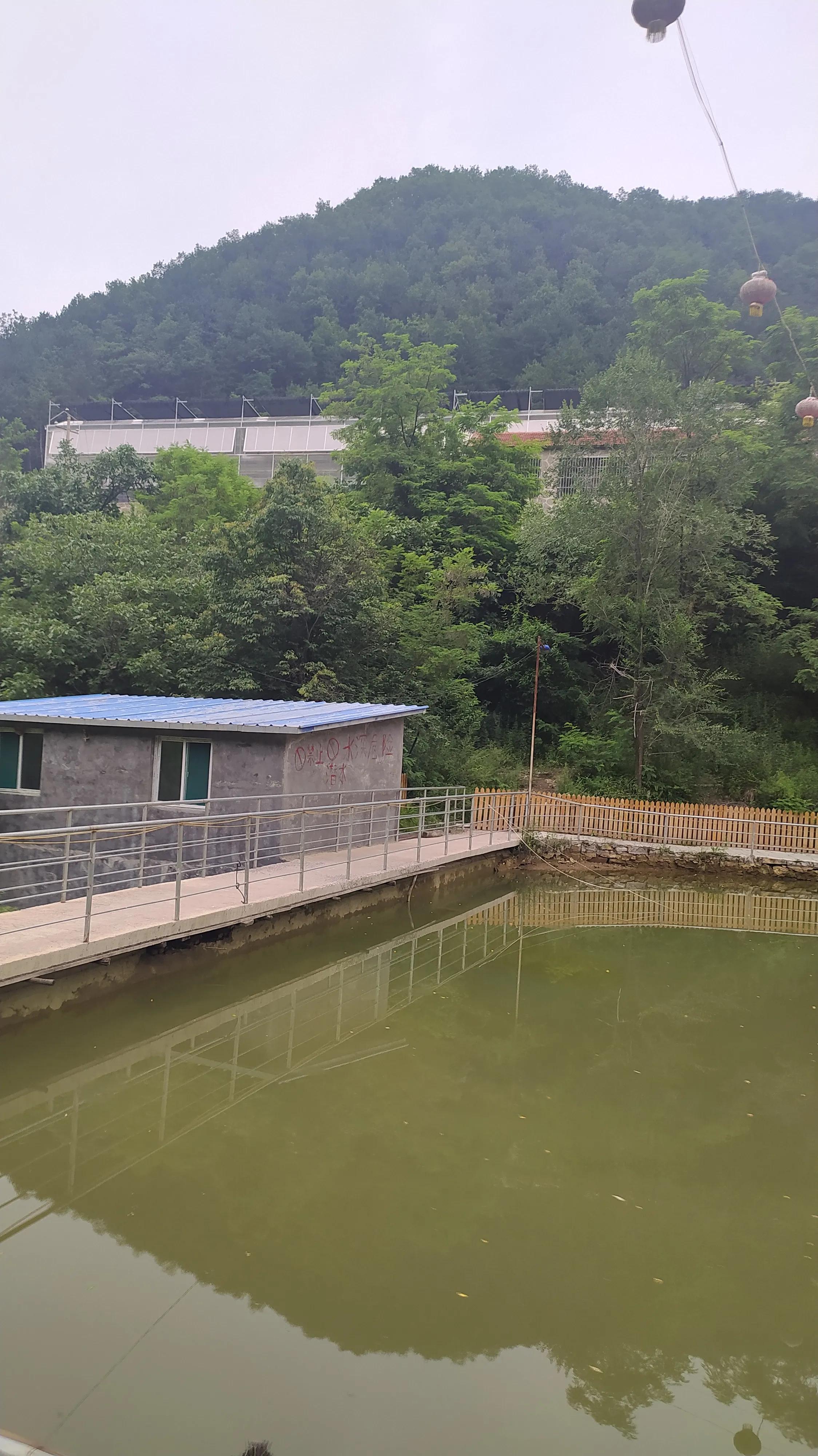 仙居姚岸避暑胜地,避暑胜地仙居村