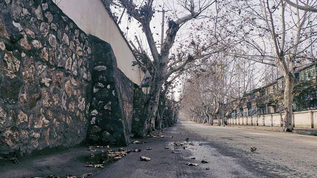 那些年你不能错过的rose的翻唱,那些年你不能错过的美食