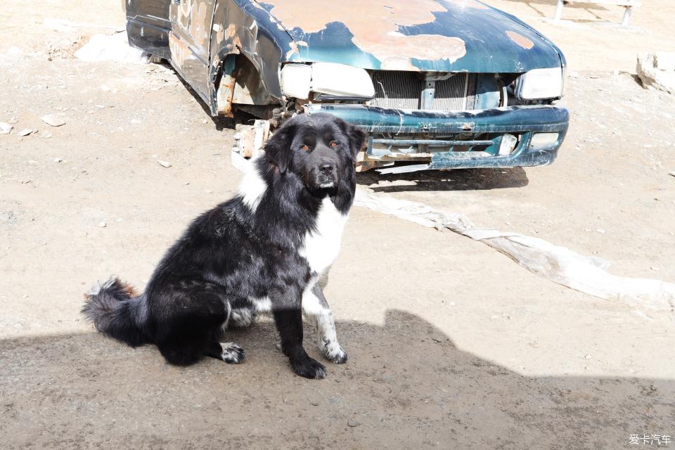 帕杰罗劲畅进藏自驾视频,帕杰罗劲畅西藏新疆自驾游