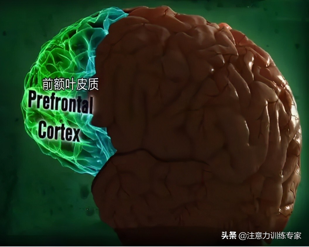 注意力不集中走神发呆做作业拖沓,三种方法解决孩子走神