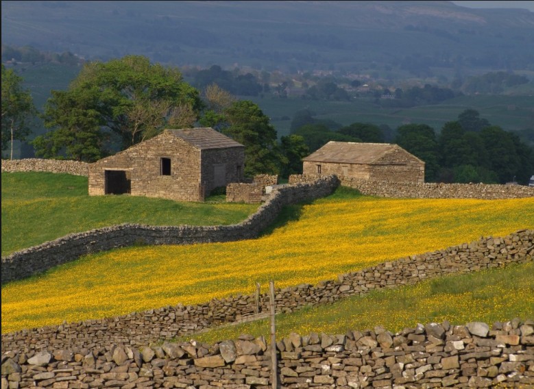 为什么足球要在草坪上踢啊,老球迷踢球