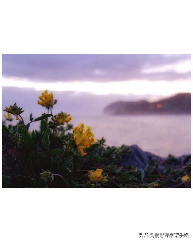 情感咨询栗子姐,栗子姐情感问答专题