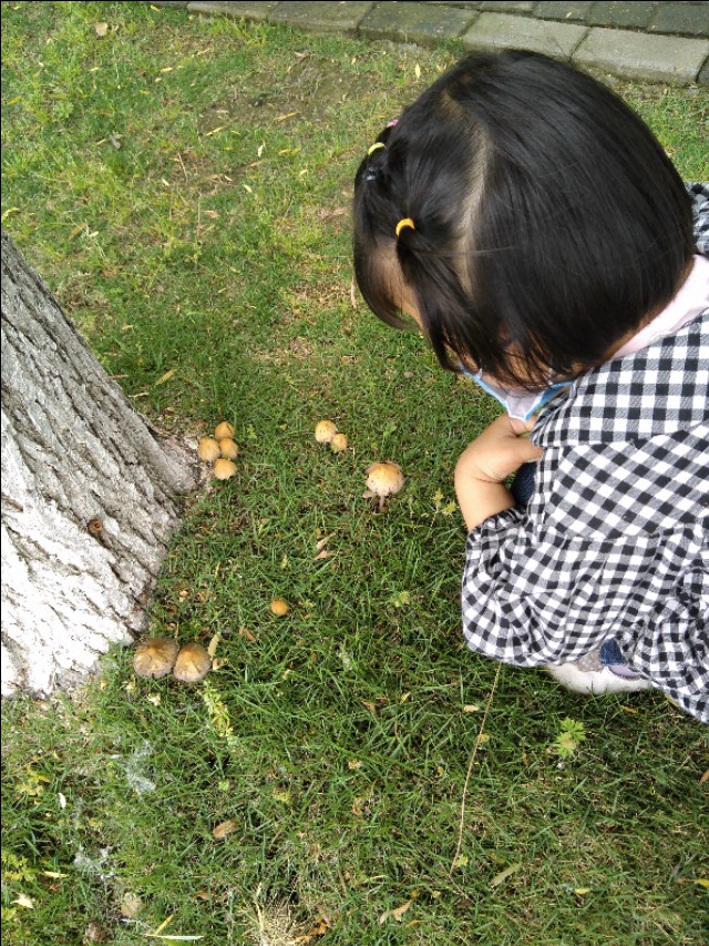 智慧父母给孩子的忠告,智慧父母一定会问孩子的七个问题