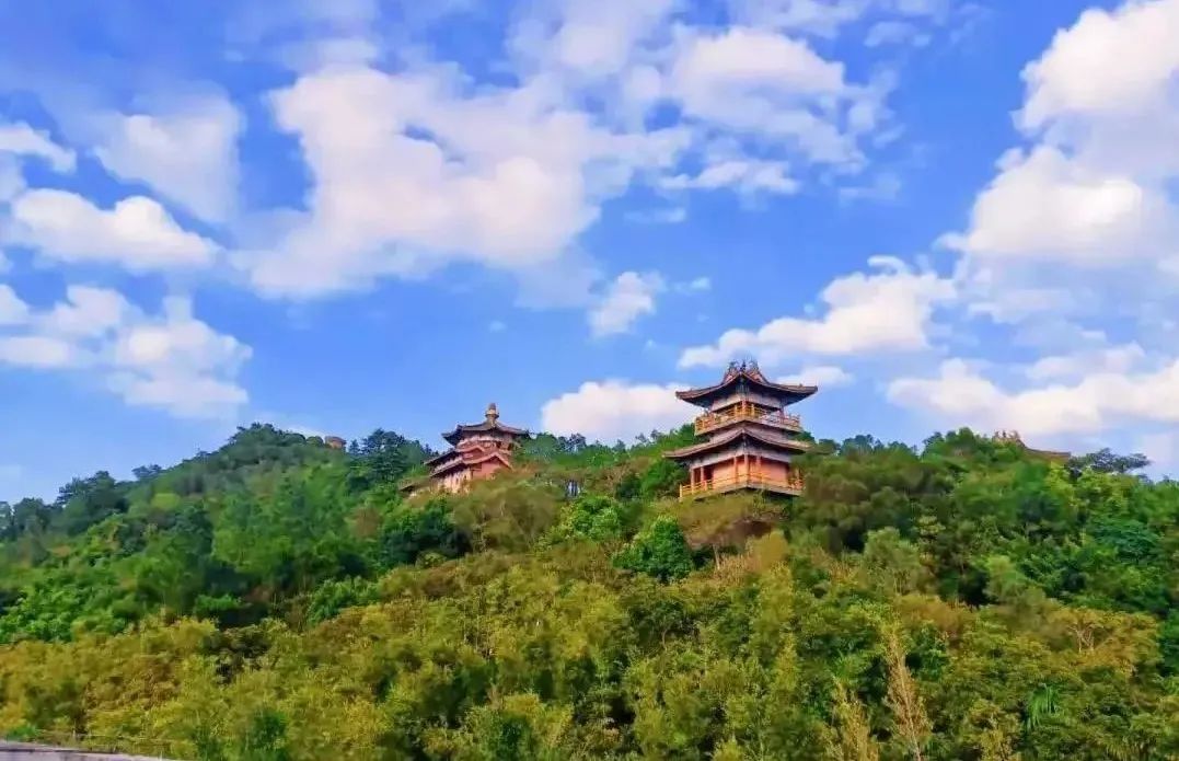 美美美！海南这几家新增的“金宿级”民宿，你想要的诗和远方都有