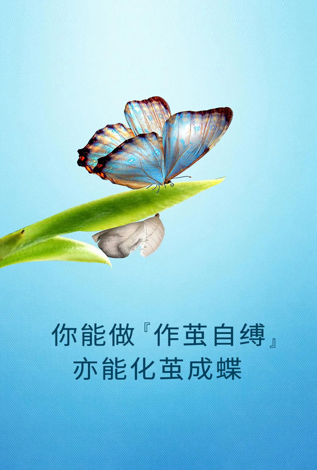 早安正能量句子带图片大雪,大雪天早安语图片