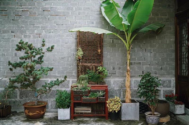 汉服体验打卡,免费体验汉服