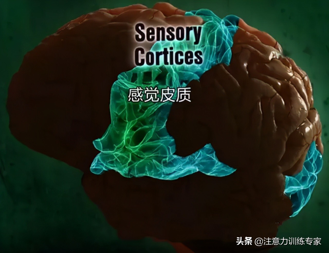 注意力不集中走神发呆做作业拖沓,三种方法解决孩子走神