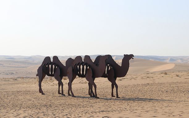 甘肃十大经典传统民俗,甘肃省传统民俗