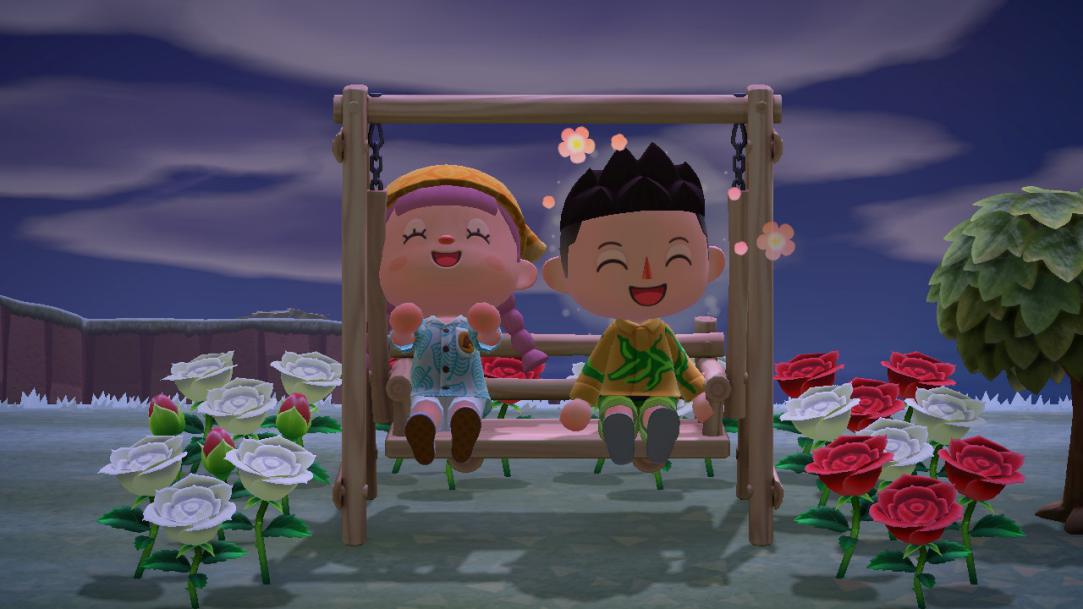 当你玩动森第一天,动森当单机玩好玩吗