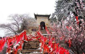 中国华山,中国华山是哪个省的