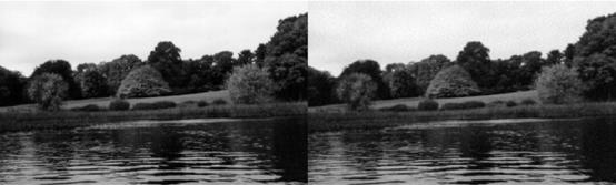 怎么给孩子解释4时5分,怎么给孩子讲解5的分解