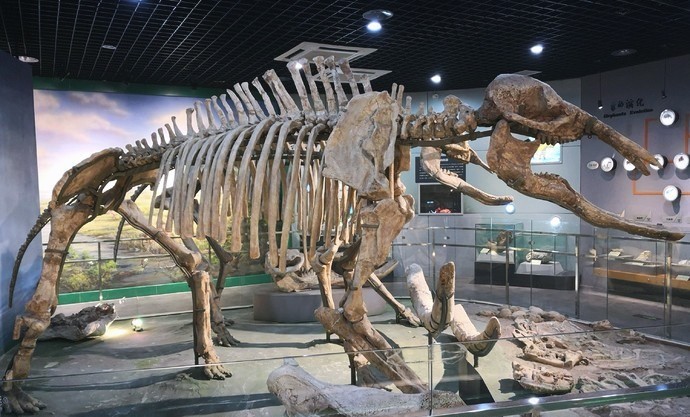 郑州长寿山旅游景点免费开放,郑州只有河南景点免费吗