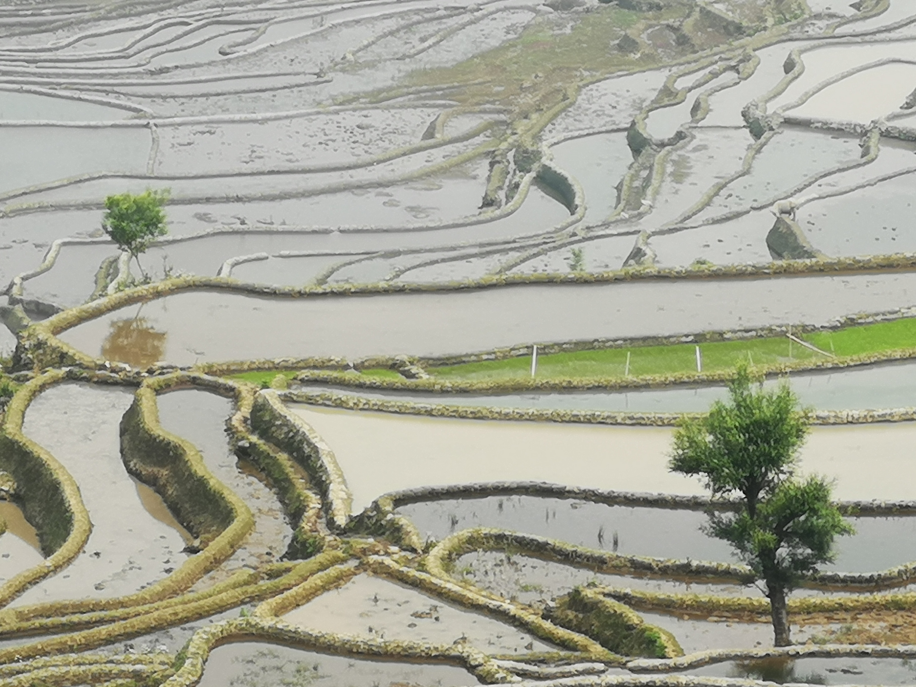 云南自驾两个月攻略,昆明出发云南自驾游最佳路线图