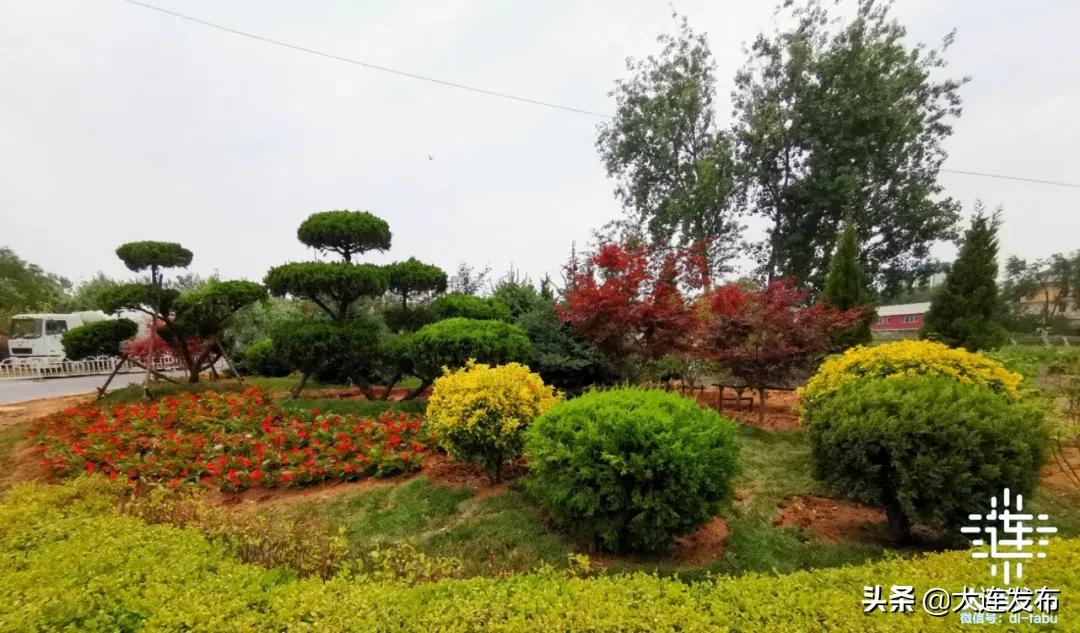 大连五一公园怎么样,大连新建三大主题公园