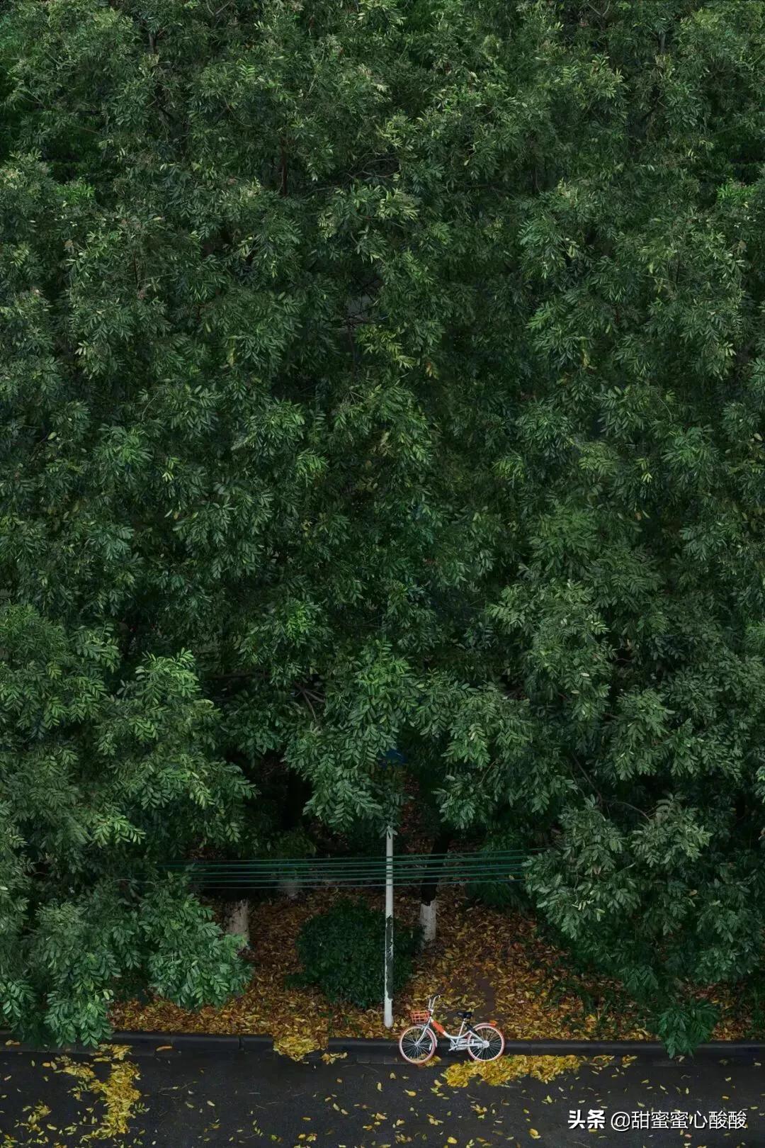 总以为来日方长却忘了世事无常,来日方长却忘了世事无常的意思