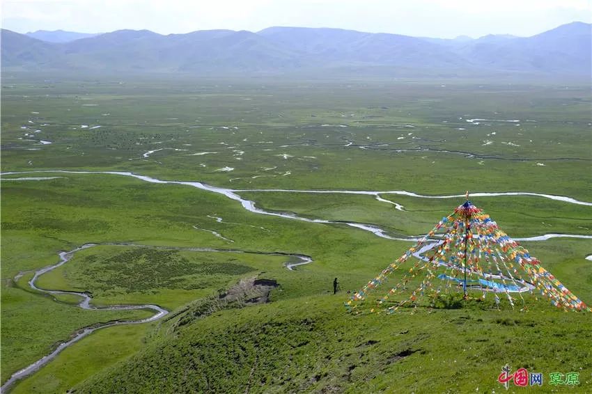 大梅看草原丨盛夏的甘南玛曲，美得脱俗惊艳